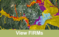 View FIRMs