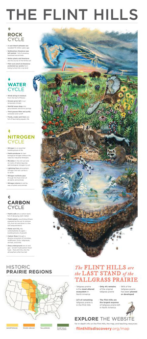 Middle School Side Panel, Number 6MSP