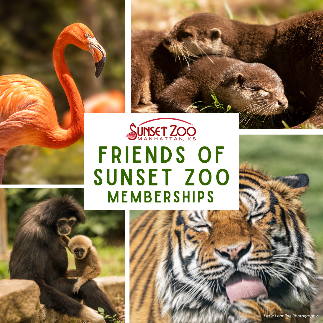 Friends of Sunset Zoo Memberships 